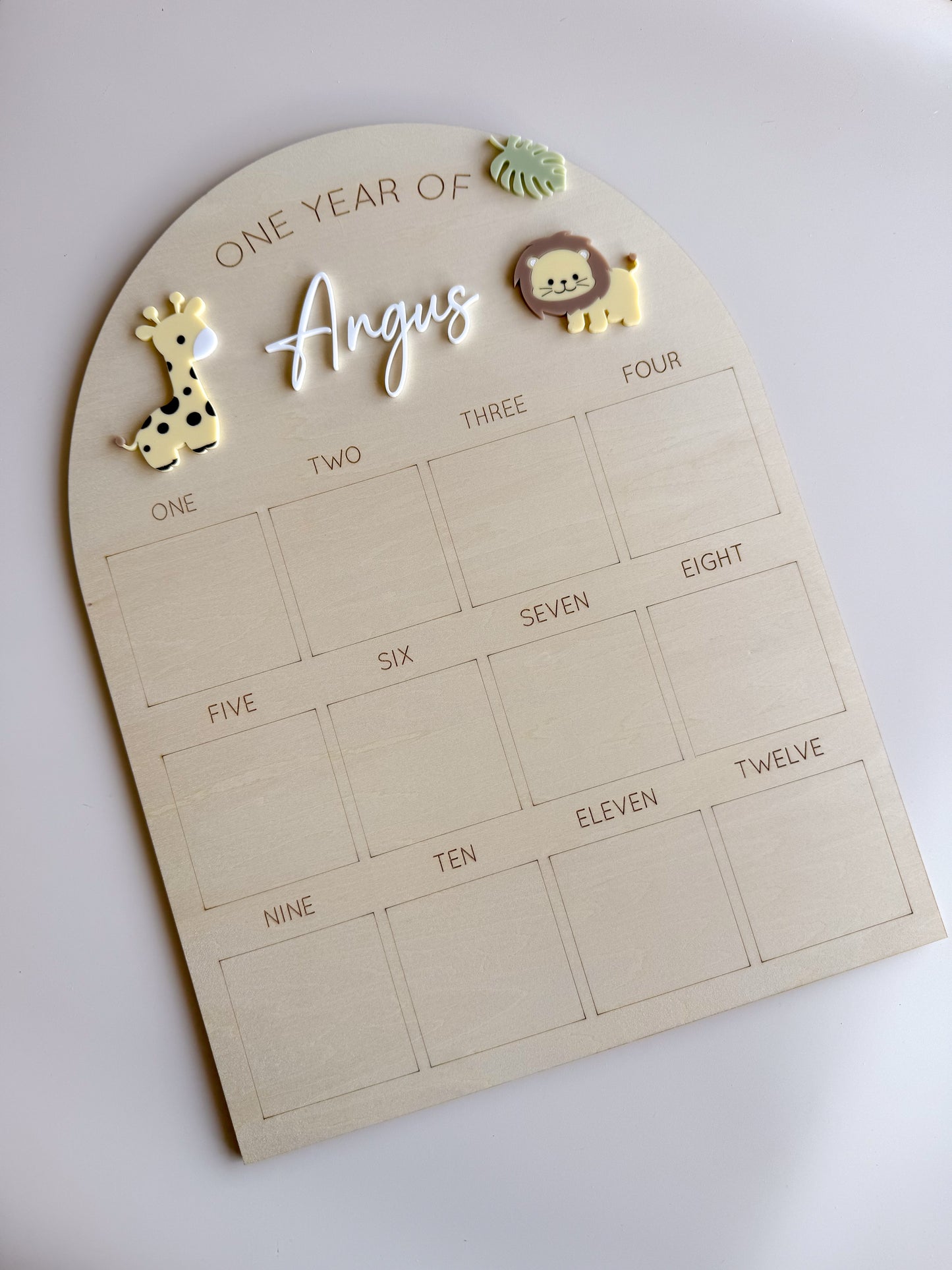 One Year Of Photo Board - Safari Pastels