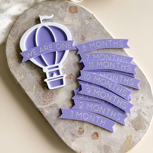 Hot Air Balloon Interchangeable Milestone Set
