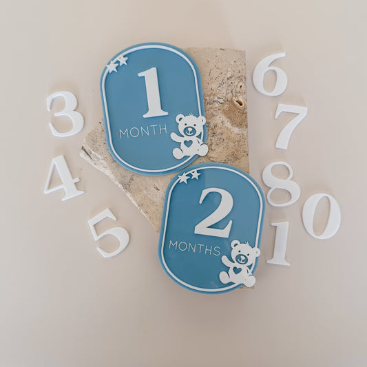 Teddy Bear Oval Interchangeable Milestone Set