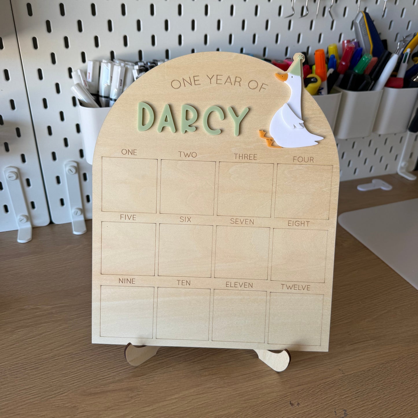 One Year Of Photo Board - Silly Goose