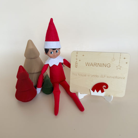 A Message From Your Elf - Elf Surveillance