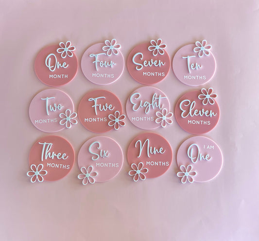 Daisy Milestone Disc Set